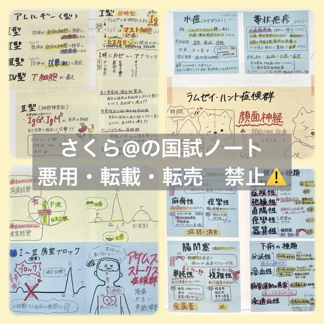 看護【国試対策ノート】【基礎】+【病態】A4サイズ余白あり！勉強・暗記に大活躍！ 看護【国試対策ノート】【病態】A4サイズ余白あり！！勉強・暗記