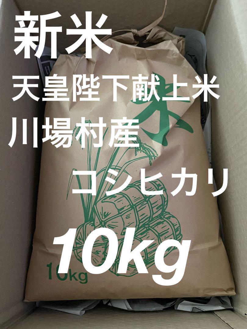 ☆家計応援☆【R6年産新米】佐渡産こしいぶき ー慣行栽培米ー 25kg
