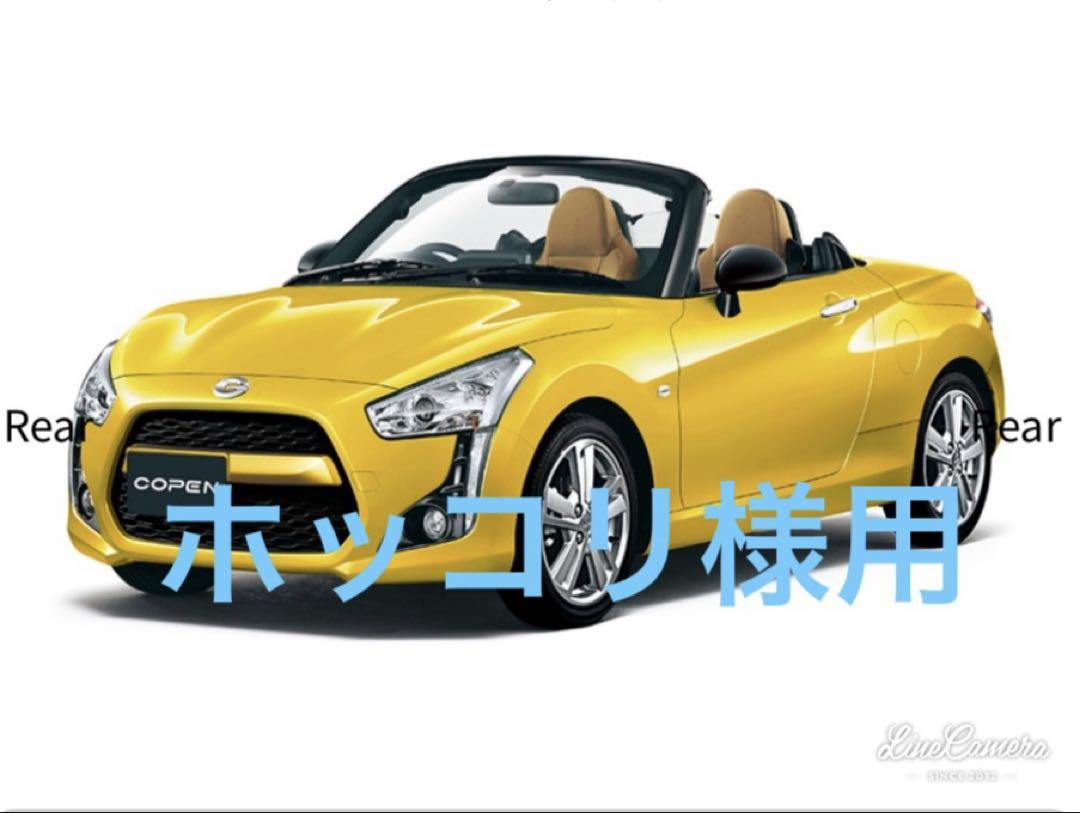 参考画像