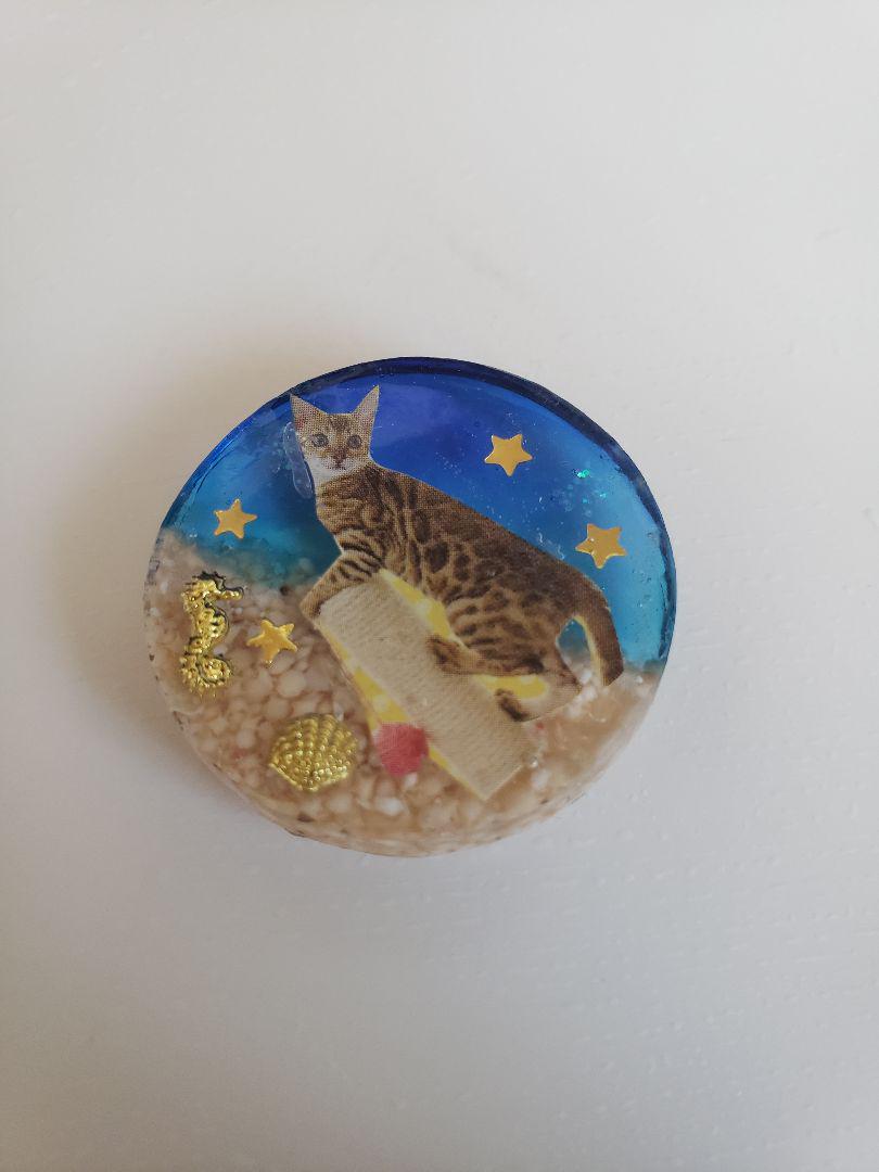 SEAL限定商品】 なっちゃん様 レジンヘアゴム118....ネコ ねこ 猫 海 旅 到着 ヘアゴム - noordrandmotors.co.za SEAL限定商品】 なっちゃん様 レジンヘアゴム118....ネコ ねこ 猫 海 旅 到着 ヘアゴム - noordrandmotors.co.za