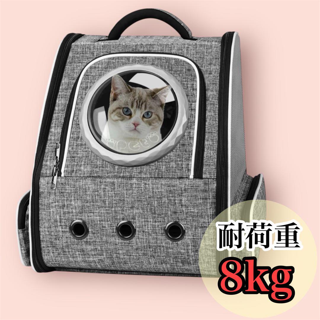 キャトログ ホーム＆ボードCatlog Home Board2 セット 箱無し