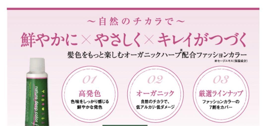 新品未使用【ネーチャーディープカラー f】120g 10本set
