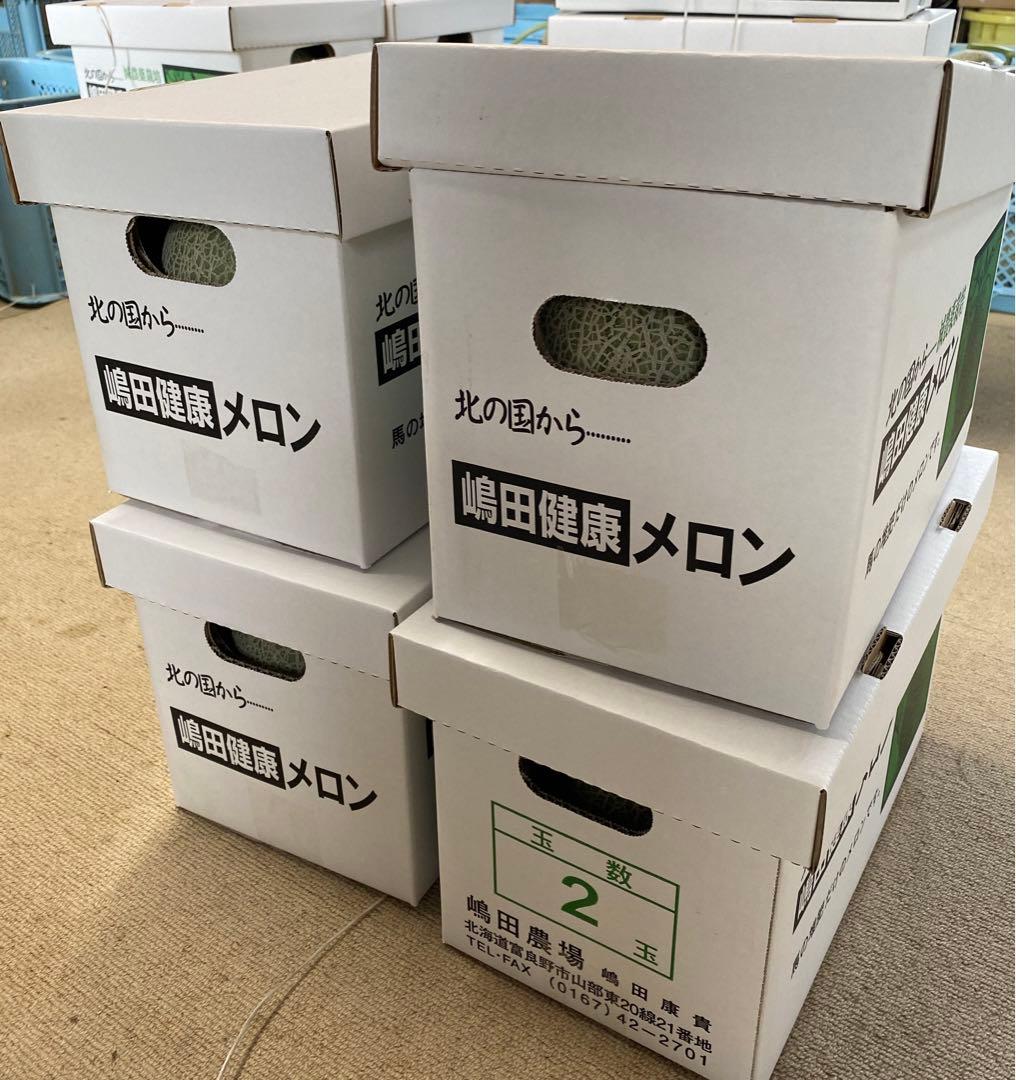 北海道富良野メロン赤肉1.4kg超✖︎2玉✖︎4箱有機肥料超減農薬限定(65）
