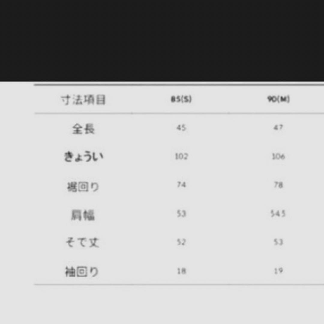 韓国限定　ノースフェイス　ホワイトレーベル　スウェット　M