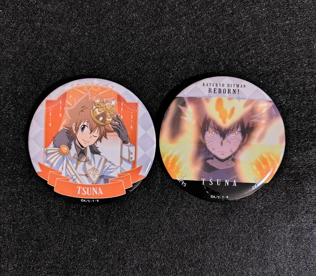 家庭教師ヒットマン REBORN ! 沖縄 限定 缶バッジ 沢田綱吉 ツナ