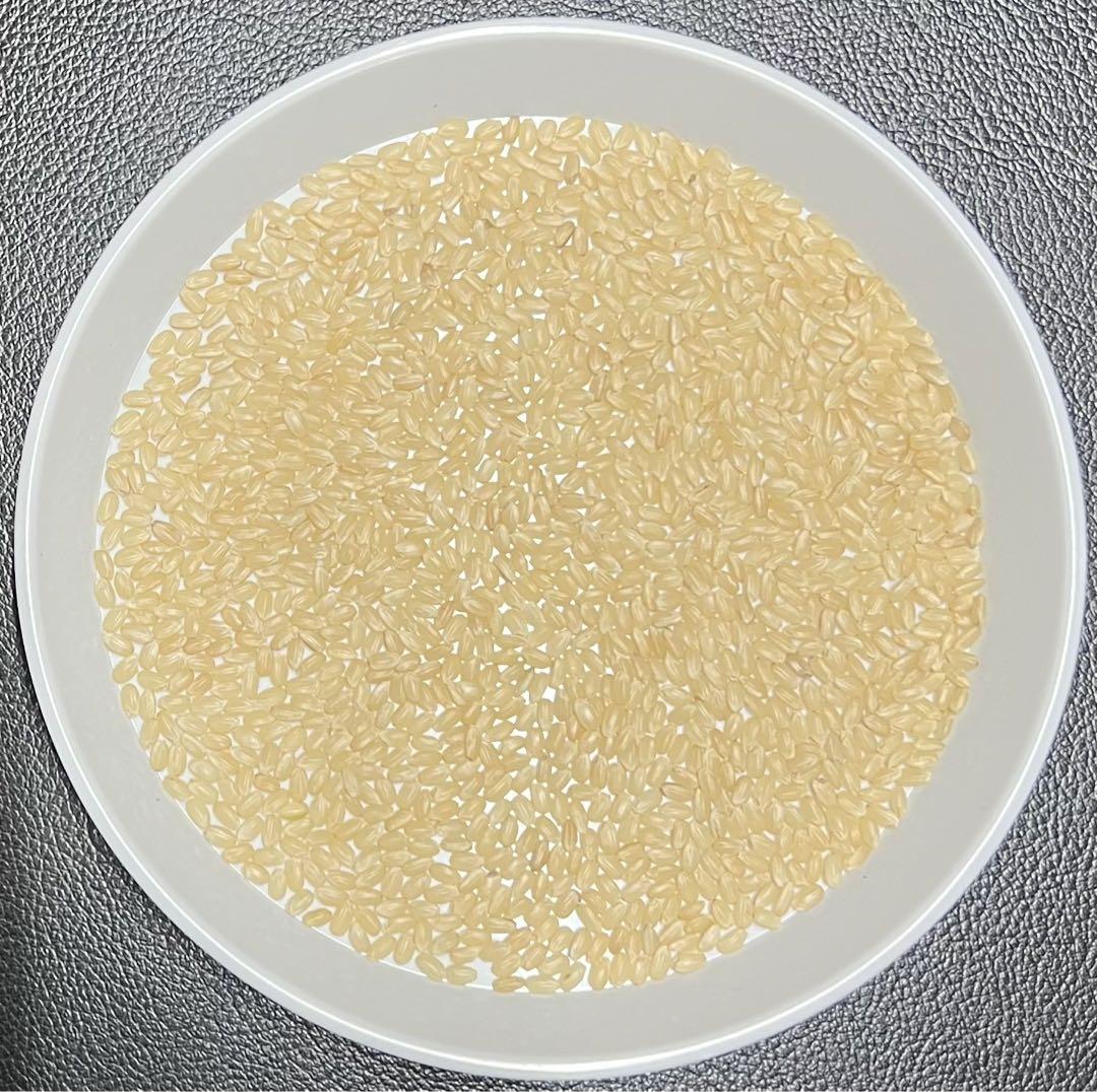 玄米 30kg 京都 丹後 米 コシヒカリ 送料無料 - 米最 安値 で