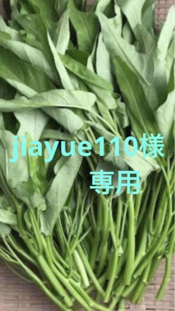 空心菜　3キロ 5,278円