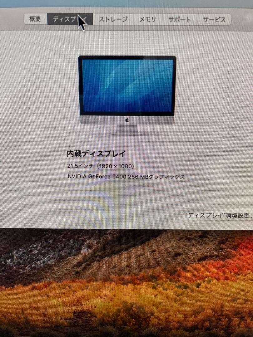 月隕石 NWA5000 250mg アダムホープ氏サインカード付き NO.244-