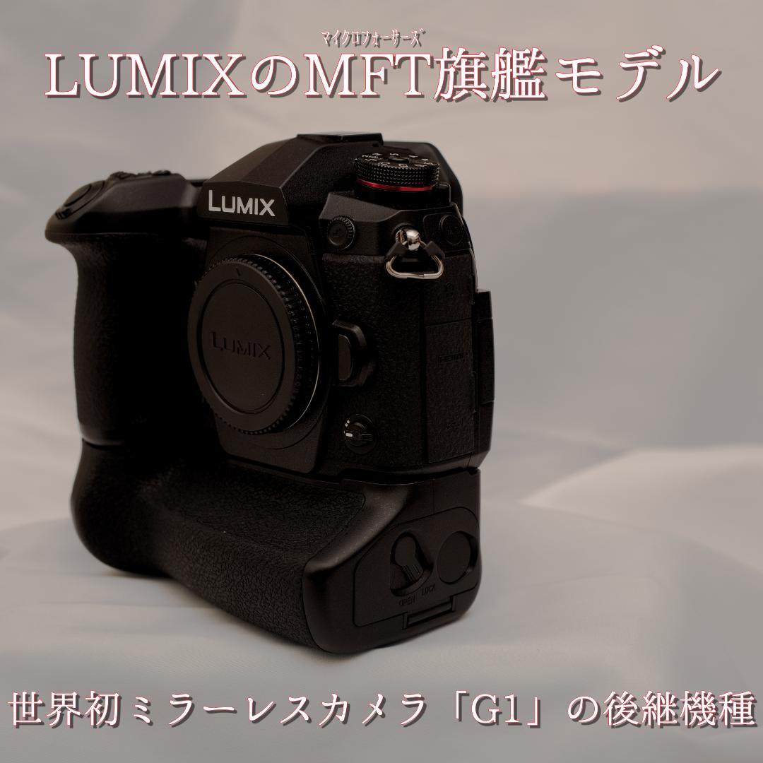 付属品完備PanasonicルミックスDC-G9PRO