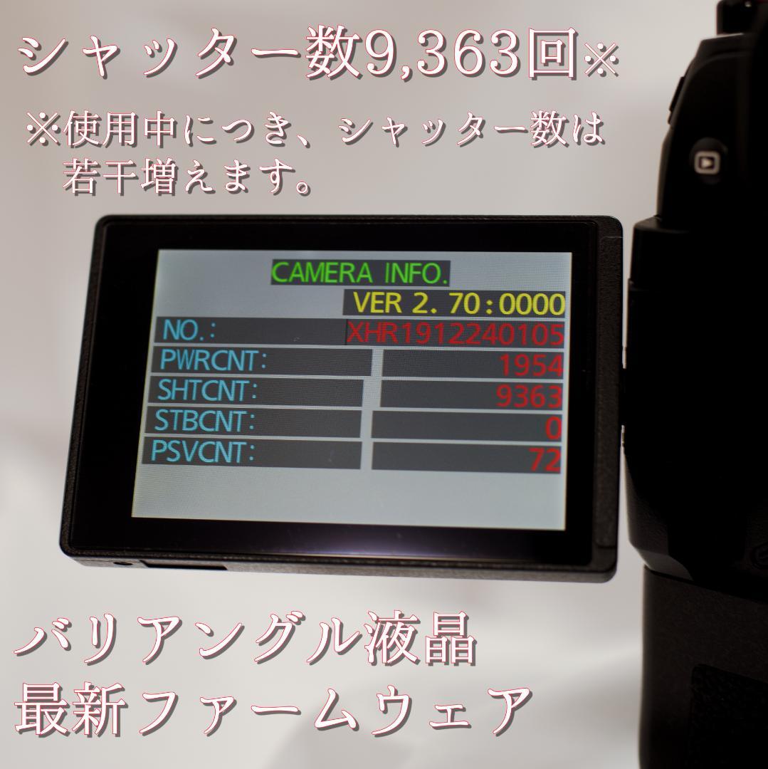 付属品完備PanasonicルミックスDC-G9PRO