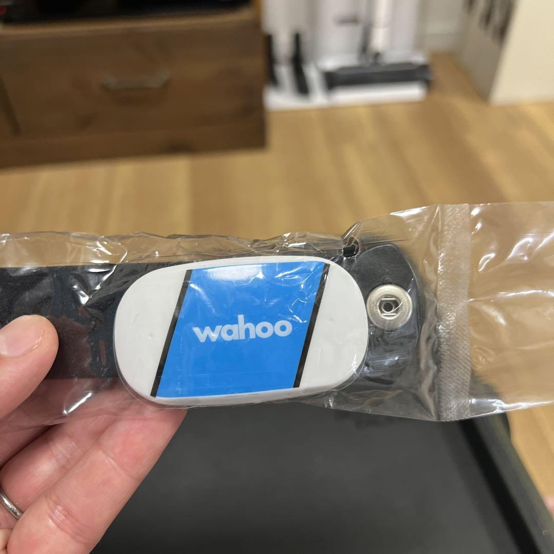 速くおよび自由なワフー wahoo エレメント ボルト サイコン 心拍計付き