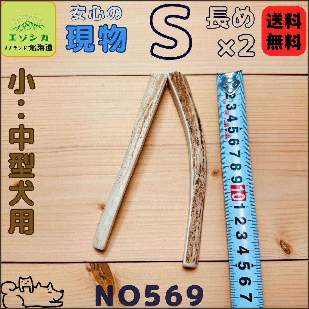 ⭐︎現物⭐︎鹿の角⭐︎S長め×2本セット⭐︎犬のおもちゃ⭐︎569
