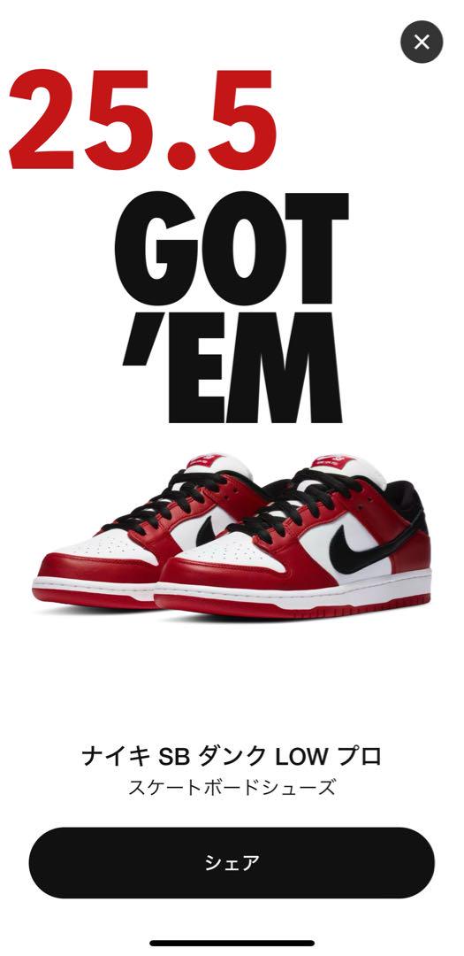Nike ナイキ ダンクロー プロ シカゴVarsity Red White 画像1