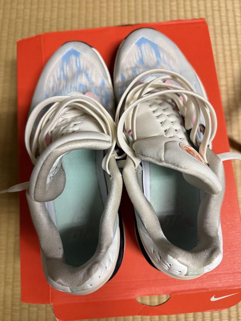 シューズ(男性用) NIKE Zoom GT Cut2
