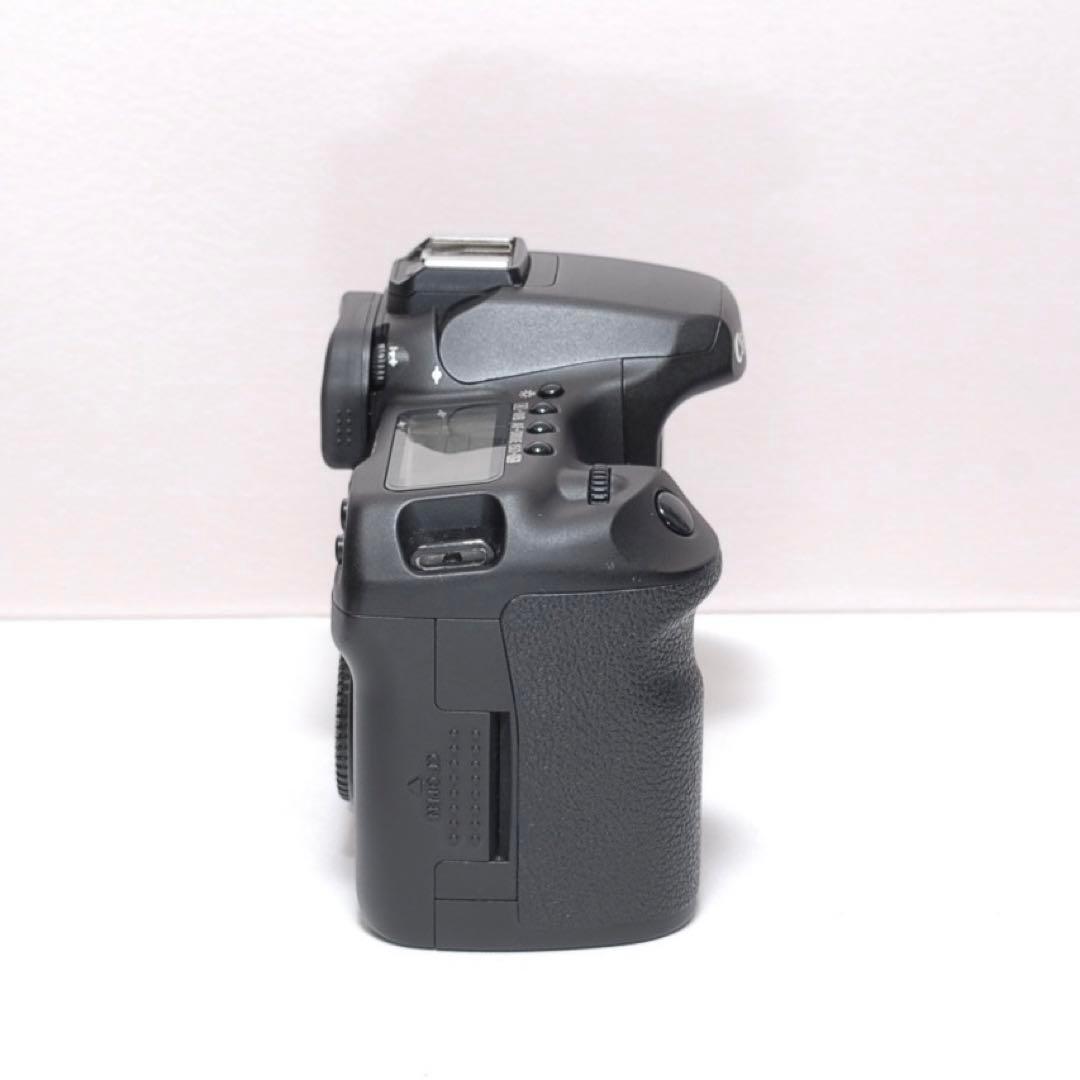 ✨スポーツ観戦におすすめ✨Canon EOS 40D✨ダブルレンズ✨高速撮影