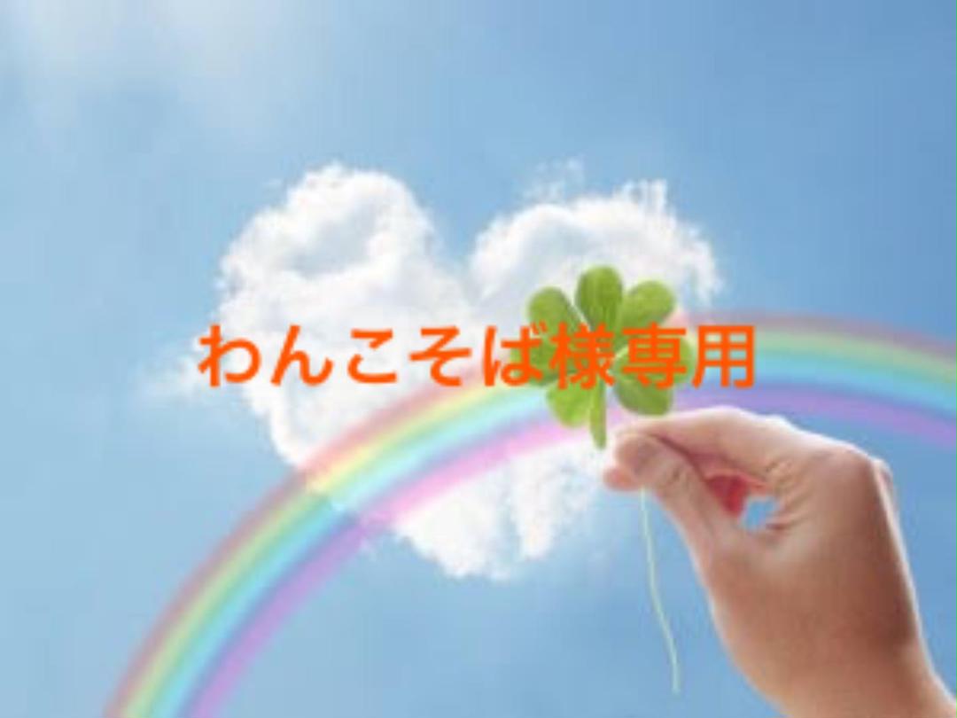 わんこそば専用