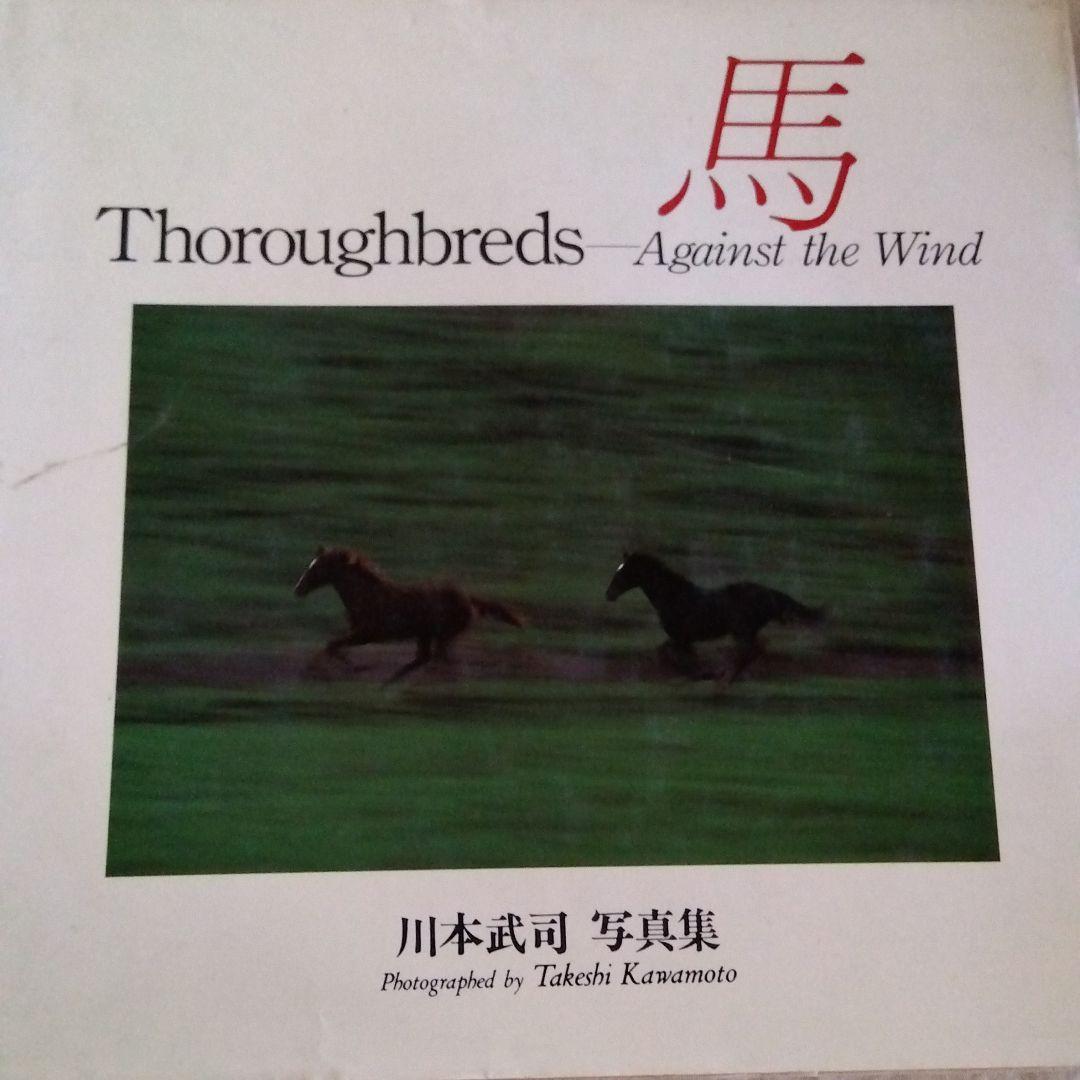 馬 川本武司 写真集 デッサン 絵の参考に メルカリ 馬 川本武司 写真集 デッサン 絵の参考に メルカリ