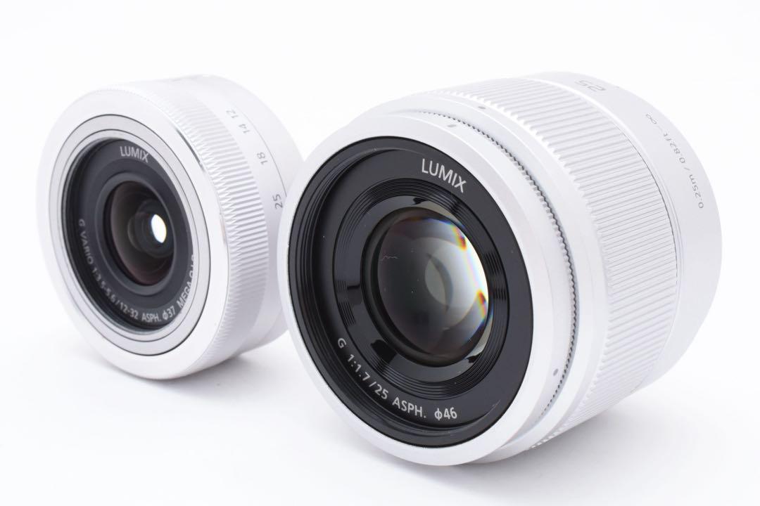Wi-Fi対応 Panasonic DC-GF10 ダブルレンズキット
