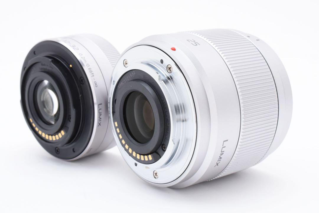 Wi-Fi対応 Panasonic DC-GF10 ダブルレンズキット