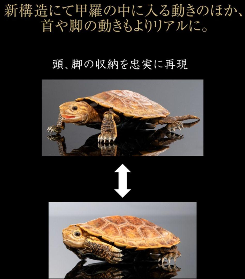 オンライン限定 いきもの大図鑑カメ02 磁石付き石型スタンド