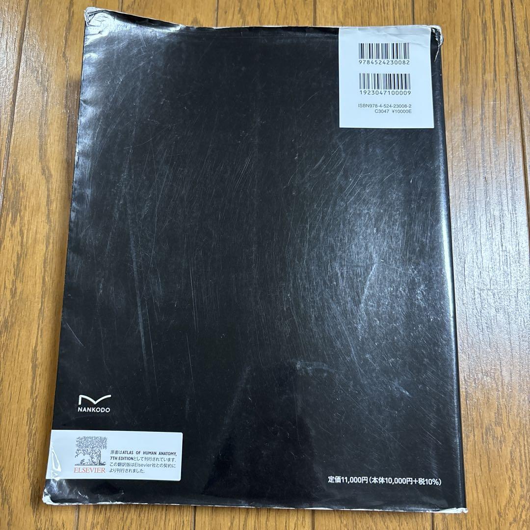 ネッター解剖学アトラス[電子書籍付](原書第7版)人気