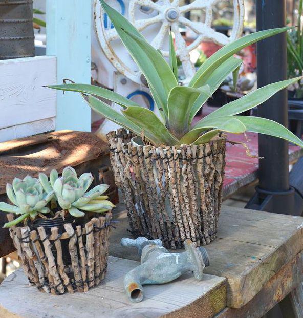 メルカリ 新品 5個セット プランター 植物 観葉植物 2 990 中古や未使用のフリマ