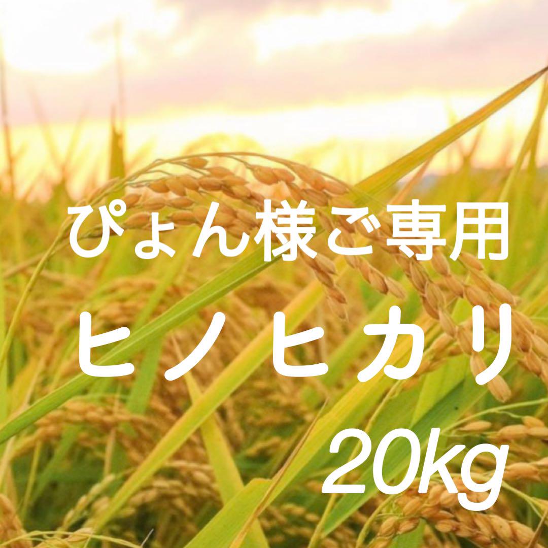 ぴょん様ご専用　R5年度米愛媛県産ヒノヒカリ稲架掛け米 20kg
