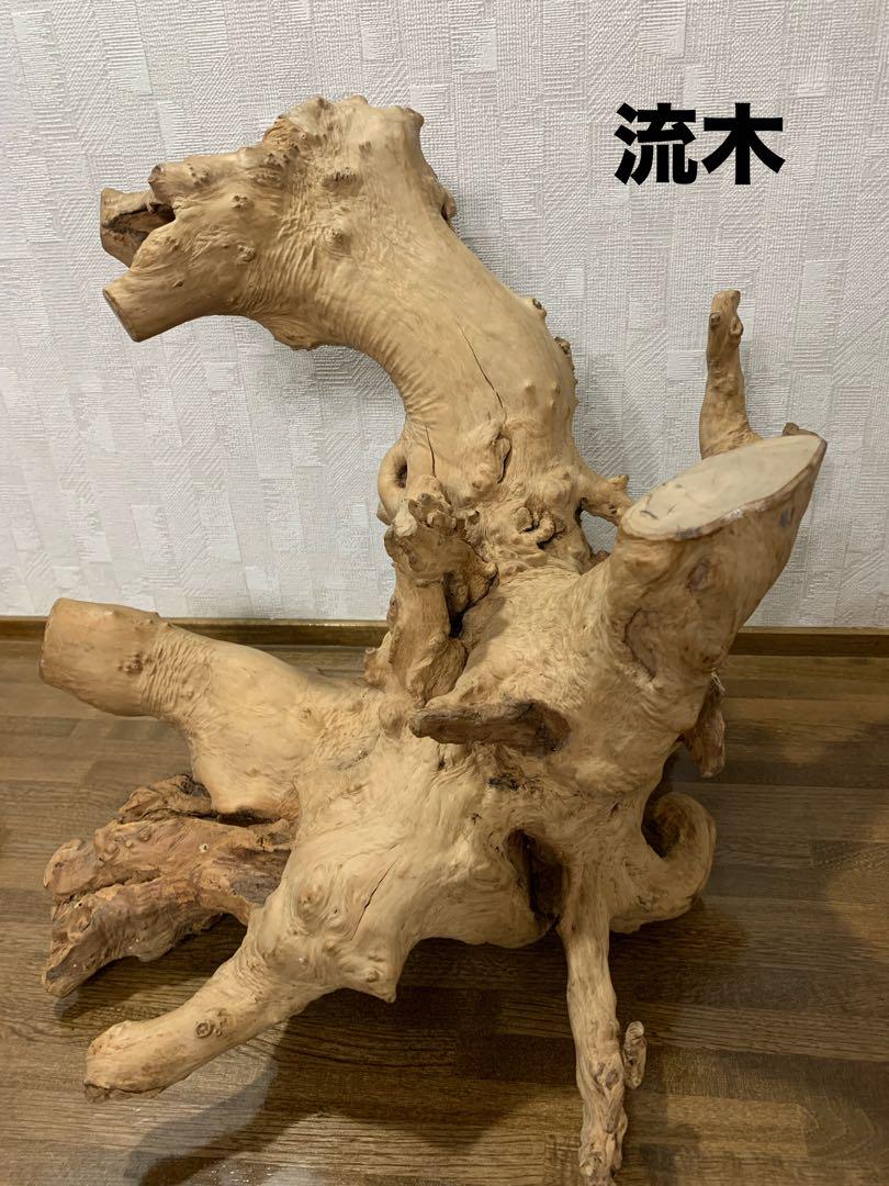 流木アート オブジェ置物 約52cm 流木アート オブジェ置物 約52cm - メルカリ