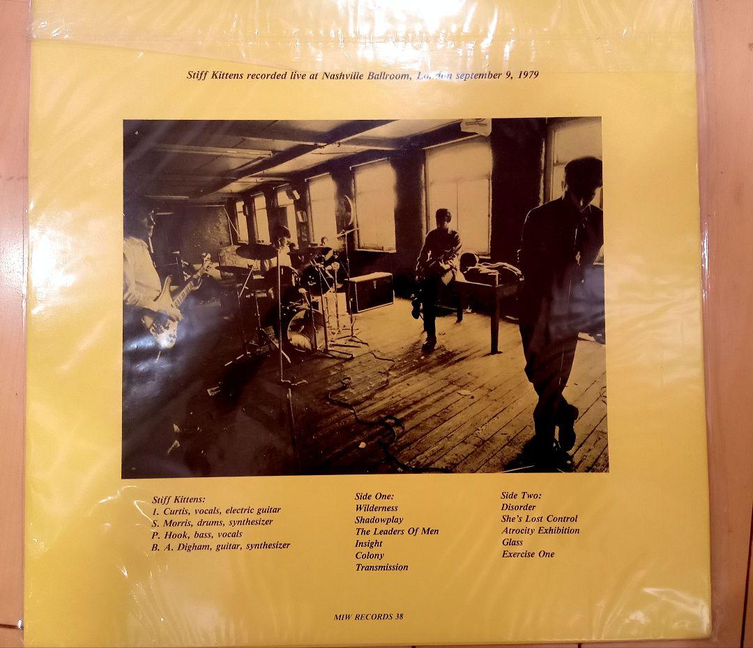 洋楽 Stiff Kittens Try To Cure Yourself 1979