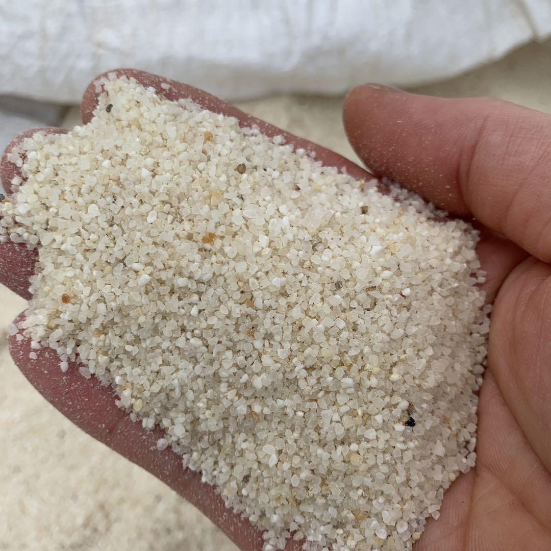 新米（くず米）20kg、鳥のエサに最適6年度産