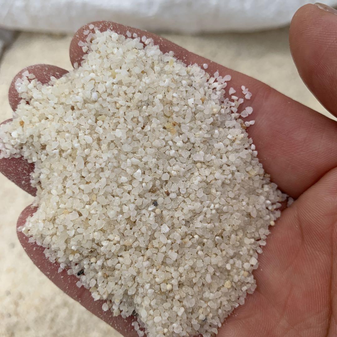 新米（くず米）20kg、鳥のエサに最適6年度産
