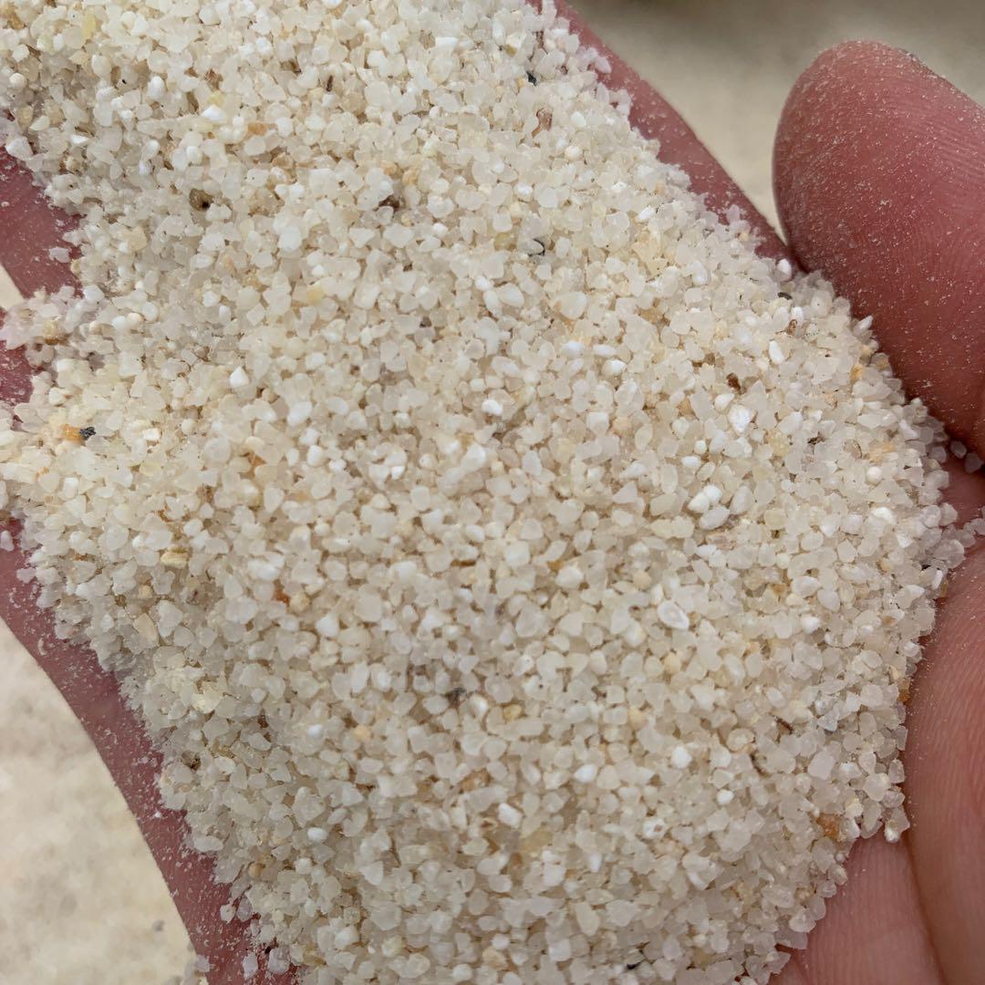新米（くず米）20kg、鳥のエサに最適6年度産