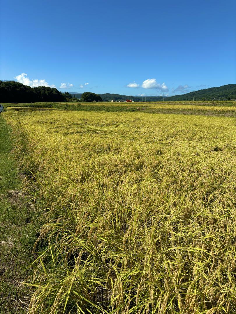 長野県産コシヒカリ（五郎兵衛米）特A評価‼️