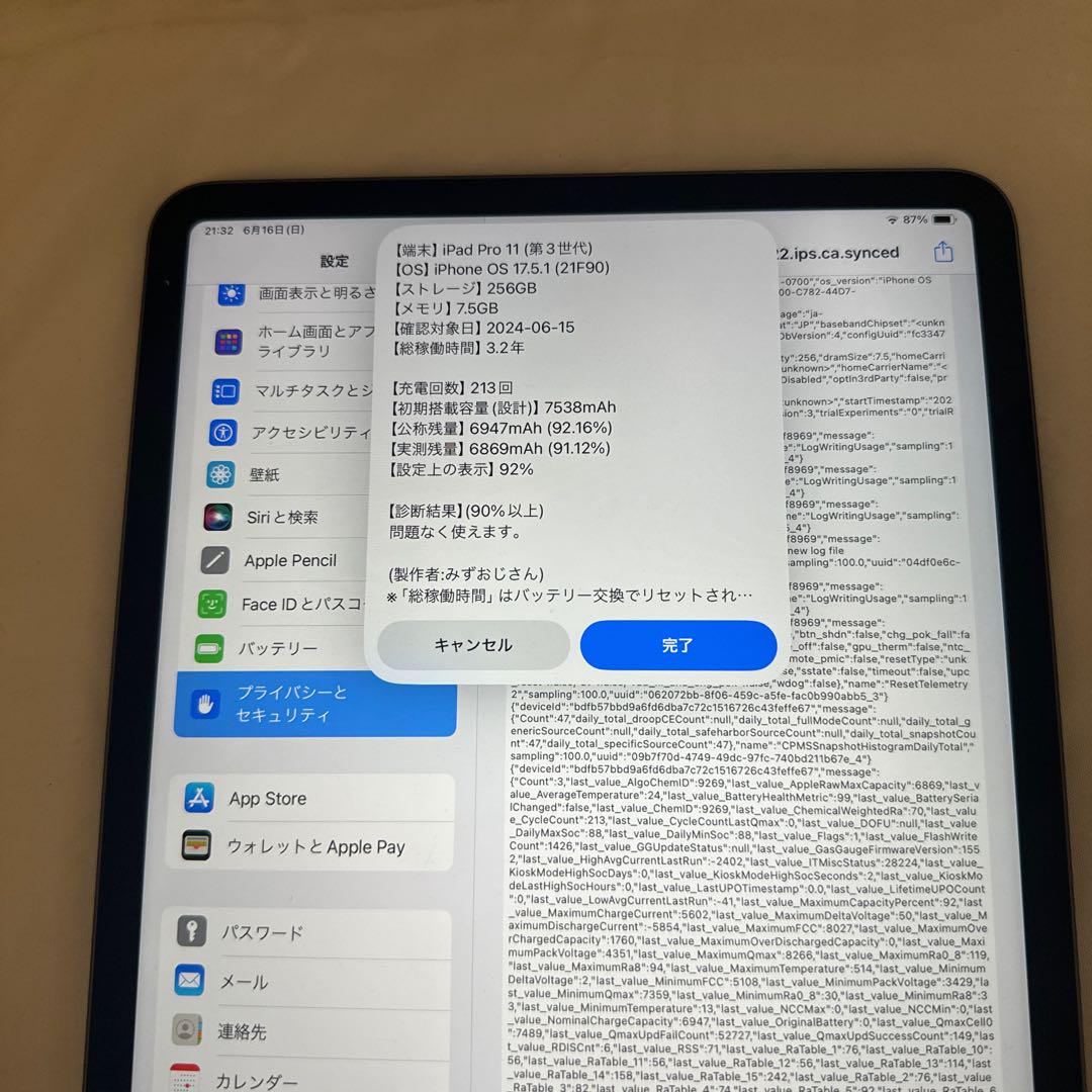 iPad pro 256GB M1チップモデル 11インチモデル