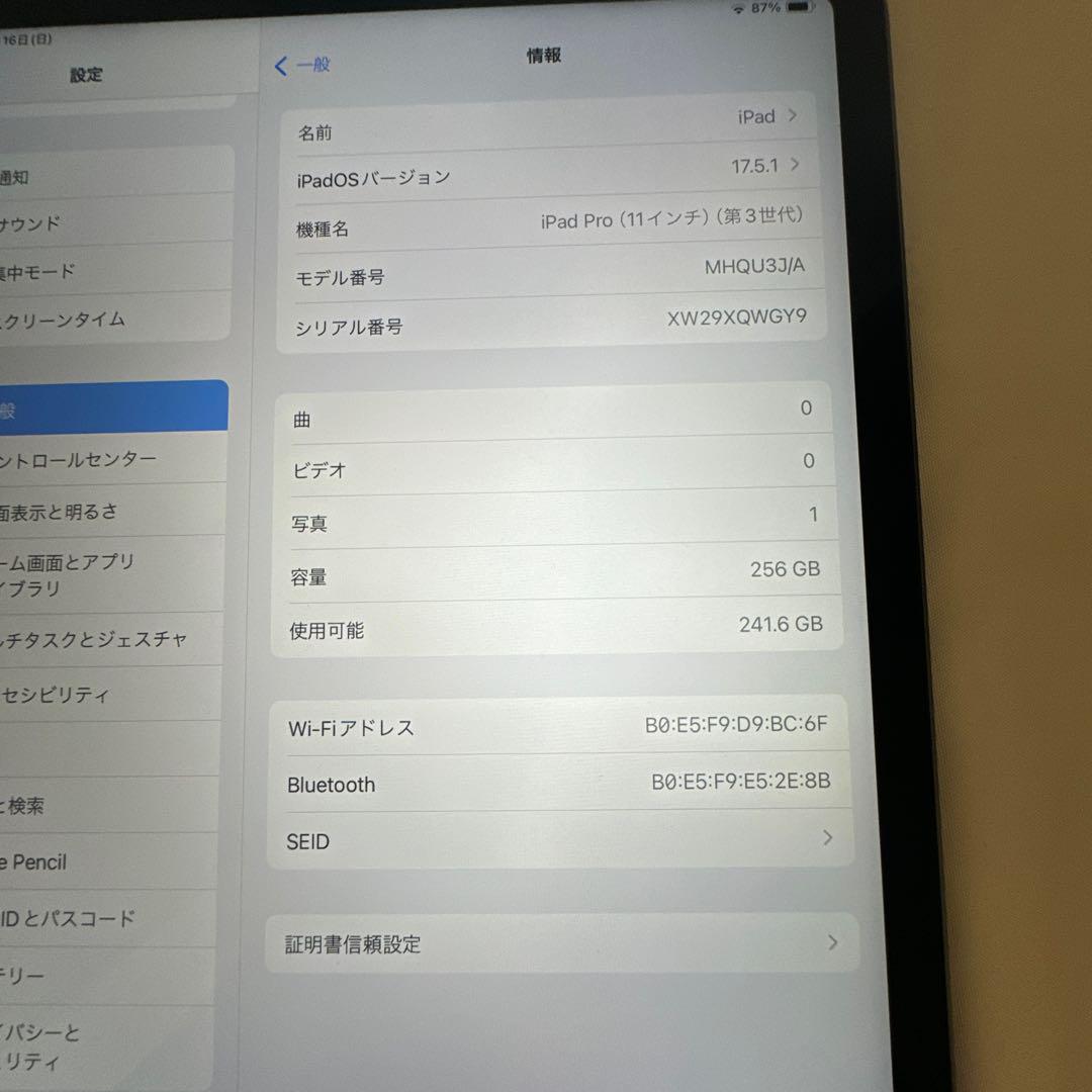 iPad pro 256GB M1チップモデル 11インチモデル