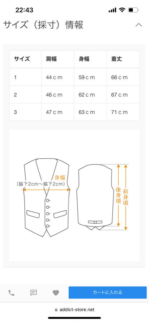 POLARTEC®︎ FLEECE VEST ECRU フリースベスト