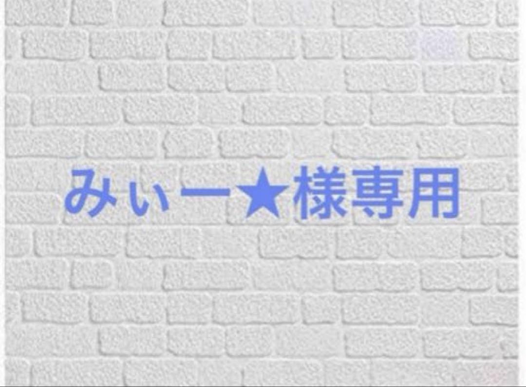 みぃー★ 王子様に溺愛されて困ってます 他