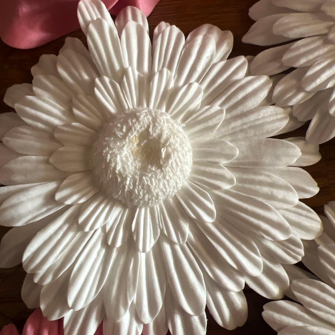 ウォールフラワー 20点Francfranc