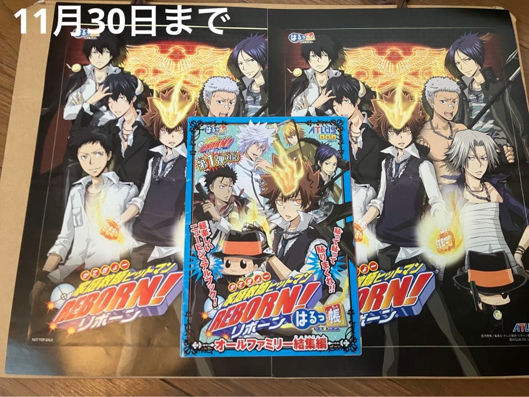 【非売品】家庭教師ヒットマンREBORN！　はるっ帳