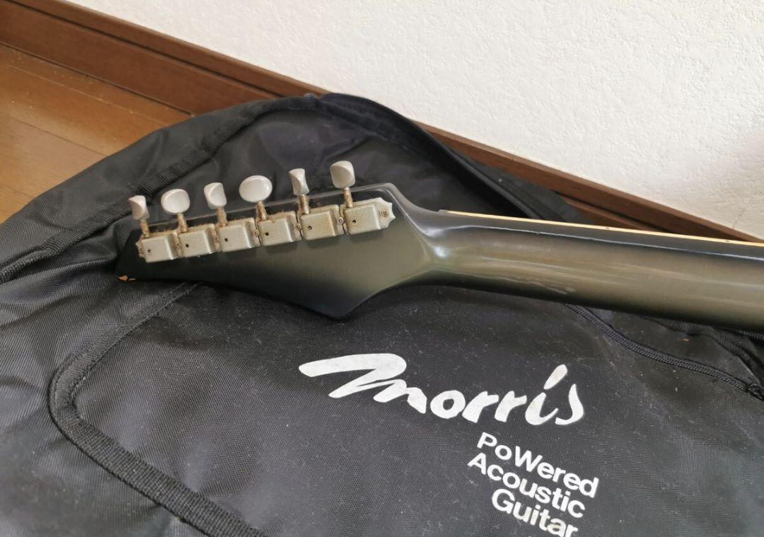 【ソフトケース付き】エレアコ morris Tornado ECLIPSE