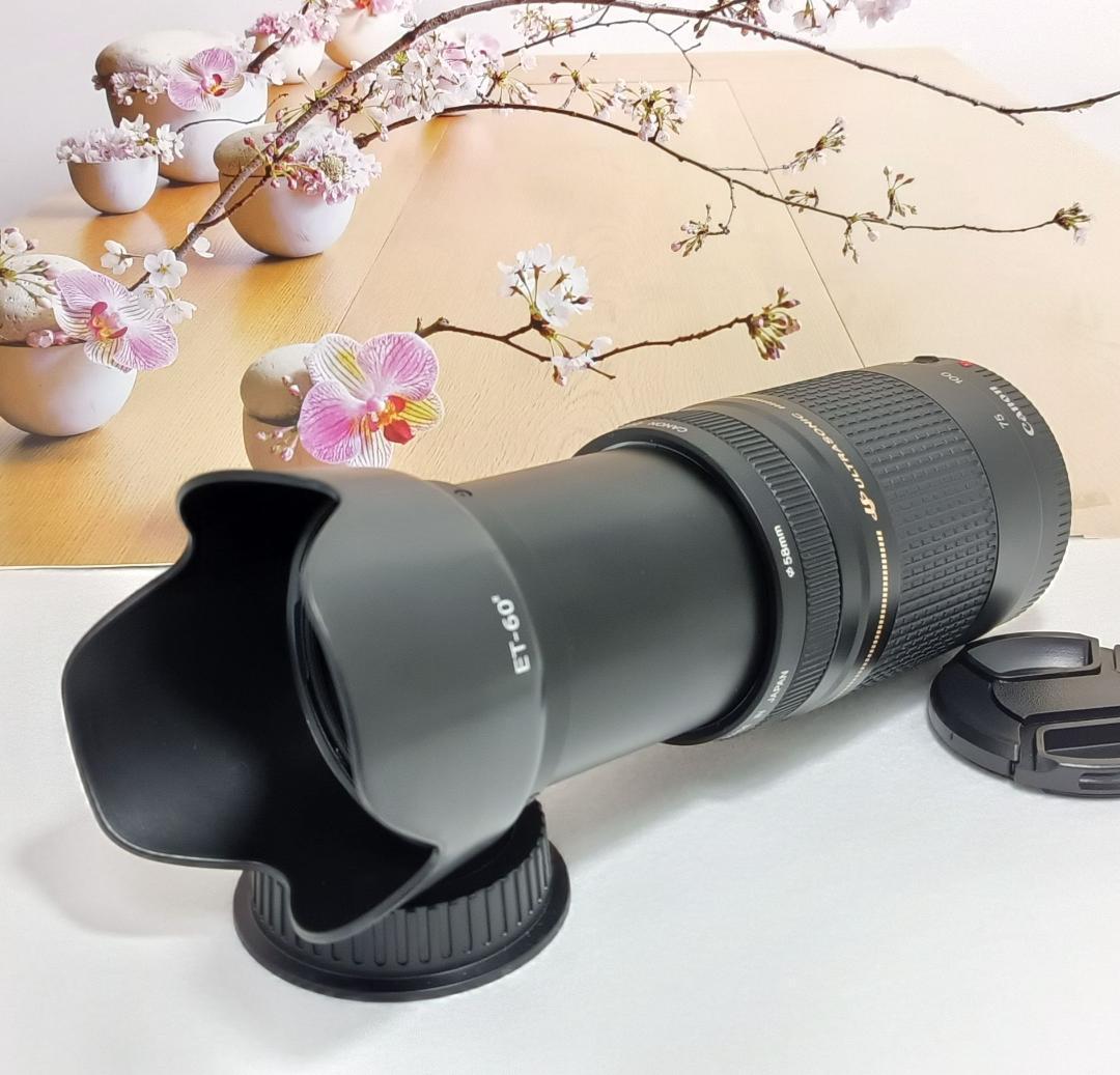 ♥想い出の一枚を！Canon キヤノン 望遠レンズ EF75-300mm#4 ☆Canon キヤノン 望遠レンズ EF75-300mm 想い出の瞬間！#9