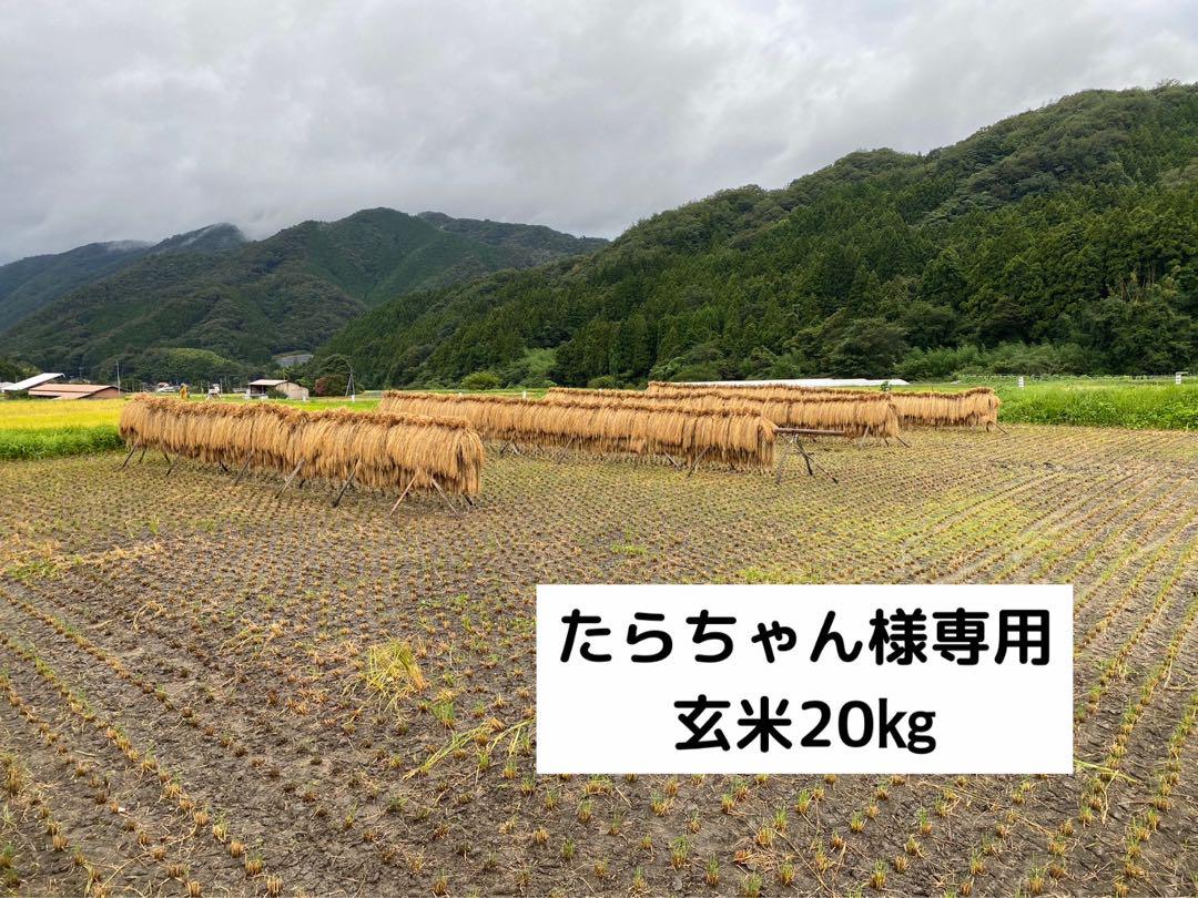 たらちゃん様専用　島根県産コシヒカリ　玄米20kg