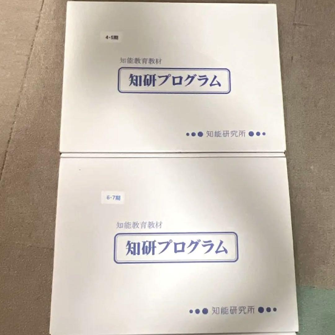 知研プログラム 知育 チャイルドアイズ 教材 第4-5期，6-7期