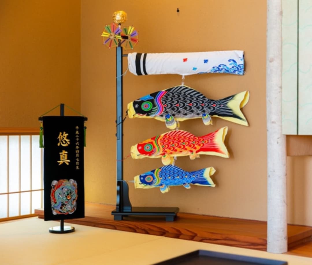 最終価格 プチ座敷鯉物語 天 60cm | www.ddechuquisaca.gob.bo