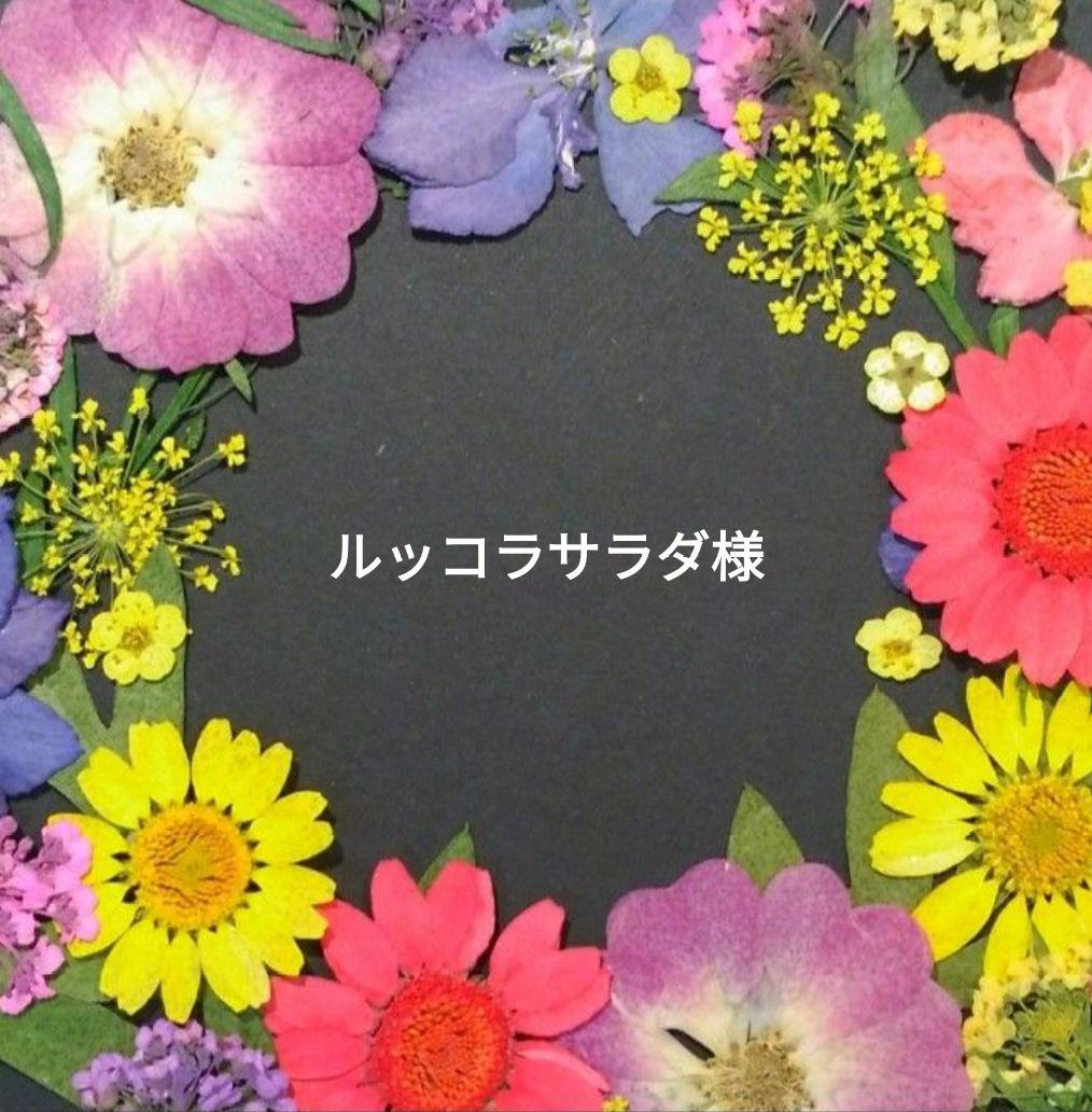 ルッコラサラダ様
