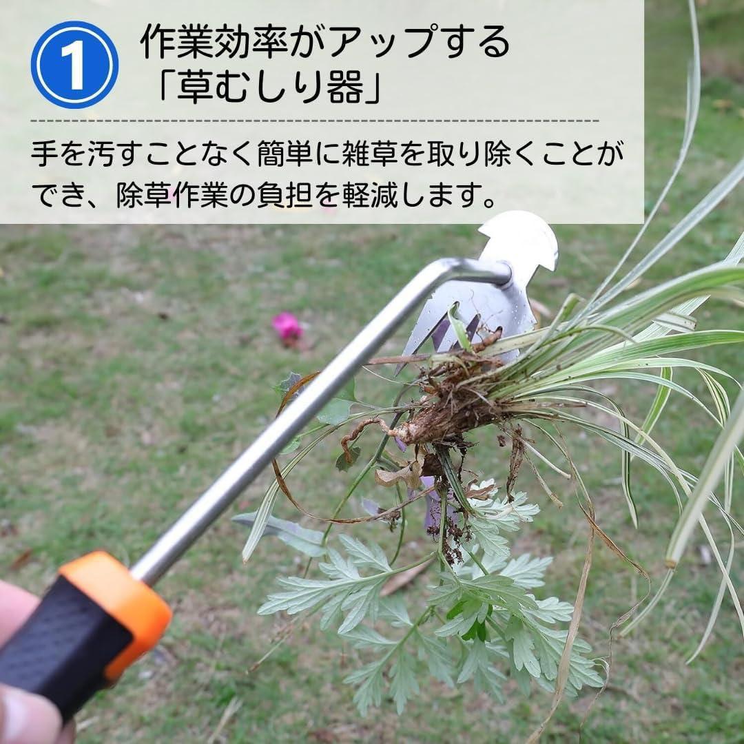 雑草抜き