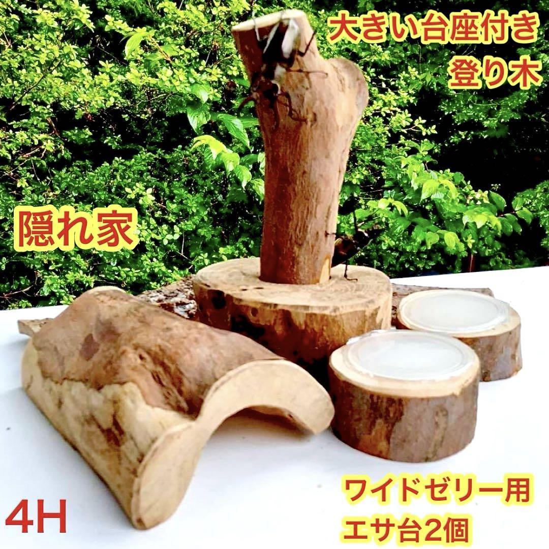 昆虫　カブトムシ　クワガタ　昆虫飼育　止まり木　登り木　隠れ家　ウロ　樹洞　天然 昆虫飼育クワガタカブトムシ樹洞ウロ止まり木登り木隠れ家天然木