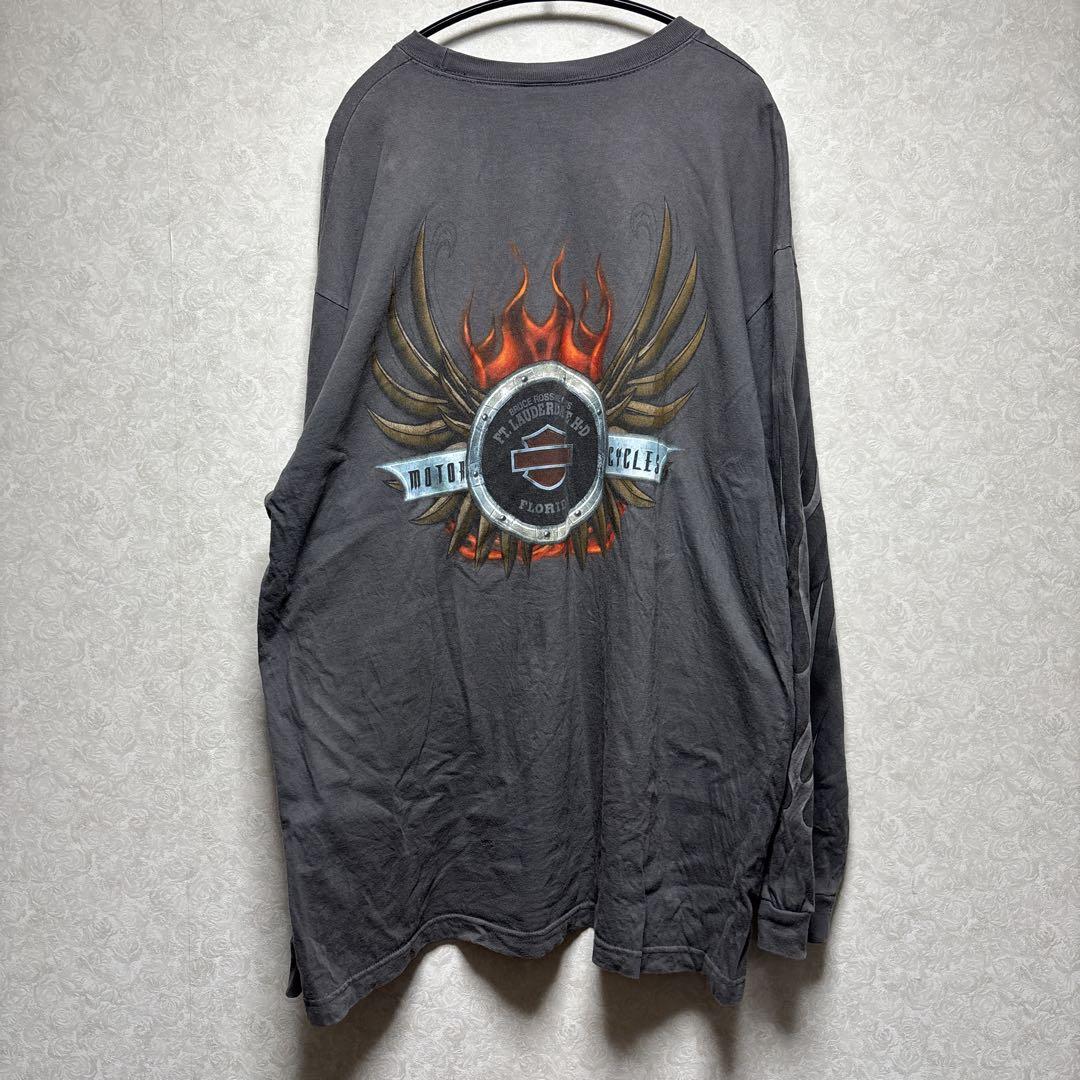 【XXL】Harley-Davidson Fire t-shirt 袖プリ