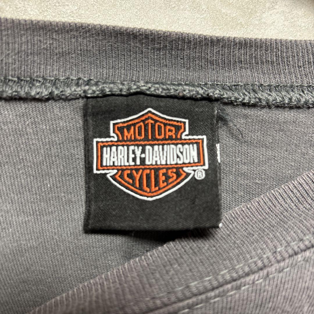 【XXL】Harley-Davidson Fire t-shirt 袖プリ