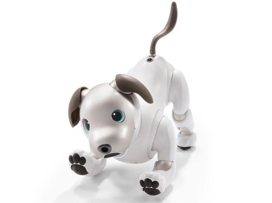 aibo 新品